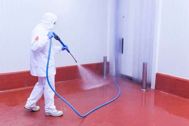 Best Roof Washing  in Carnegie, PA