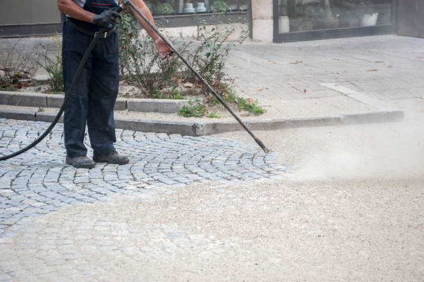 Best Pre-Holiday Cleaning  in Carnegie, PA