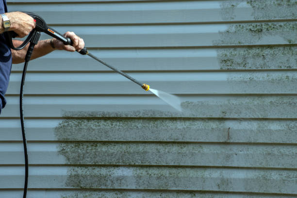 Best Gutter Cleaning  in Carnegie, PA